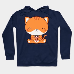 Kawaii Cute Kitten Cat Hoodie